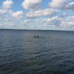 Sommar och sol med bad i havet